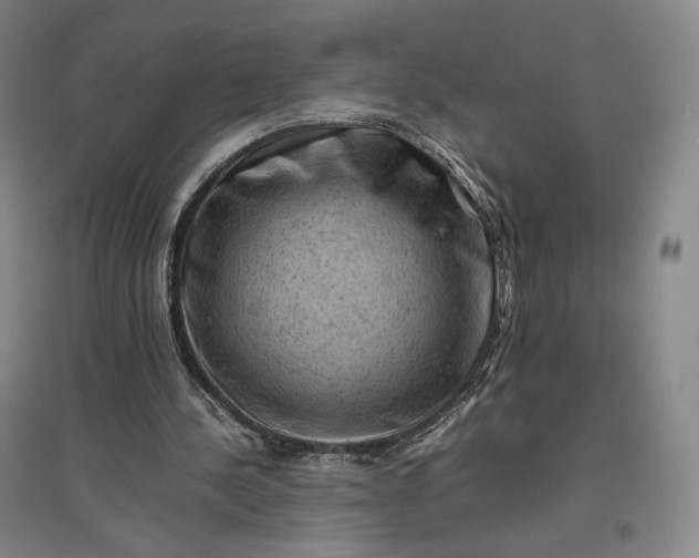 X0000096940244200802221326