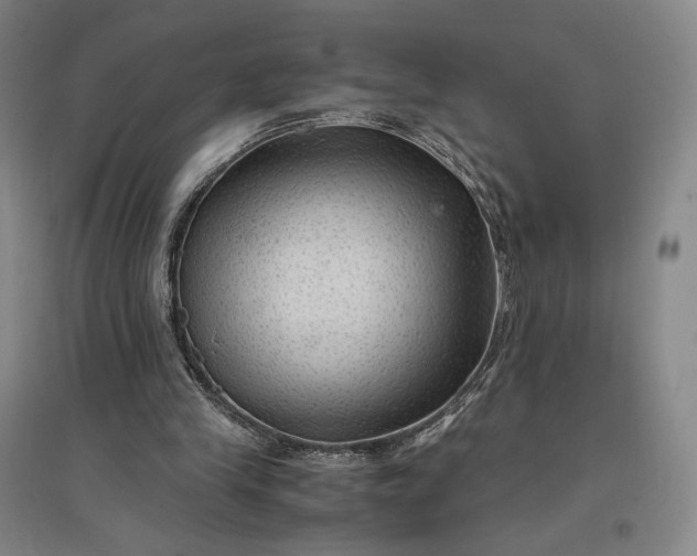 X0000096940245200802221326