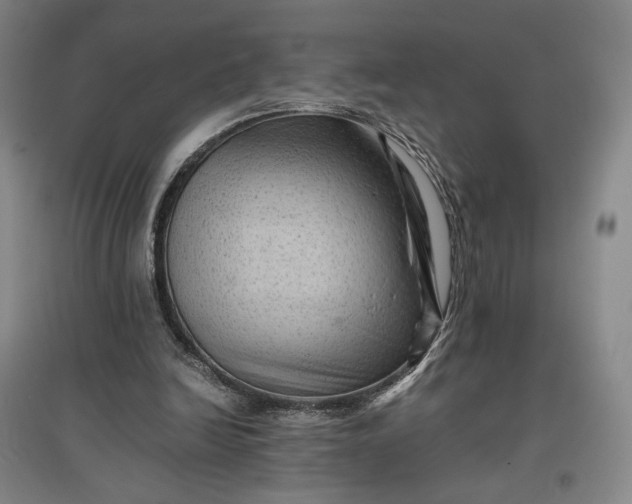 X0000096940246200802221326