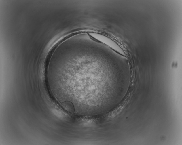 X0000096940247200802221326