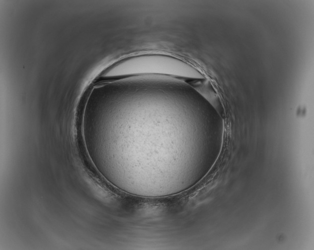 X0000096940248200802221326