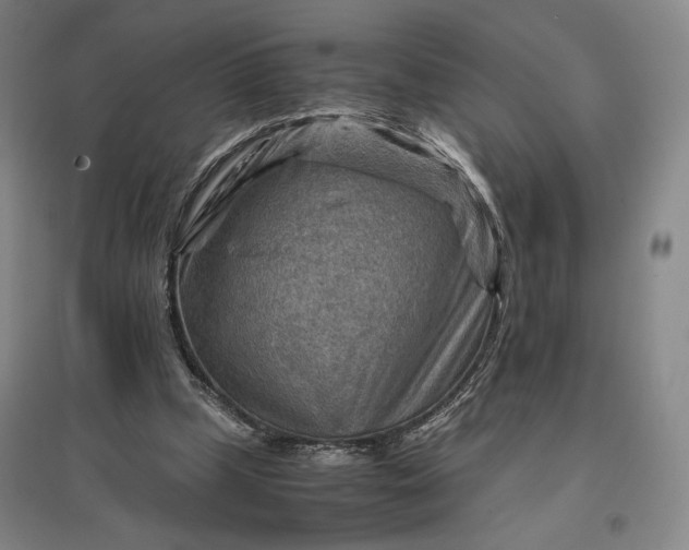 X0000096940249200802221326