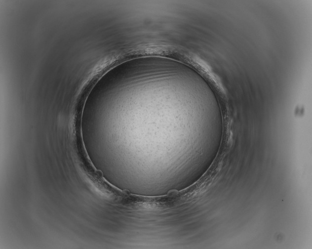 X0000096940250200802221326