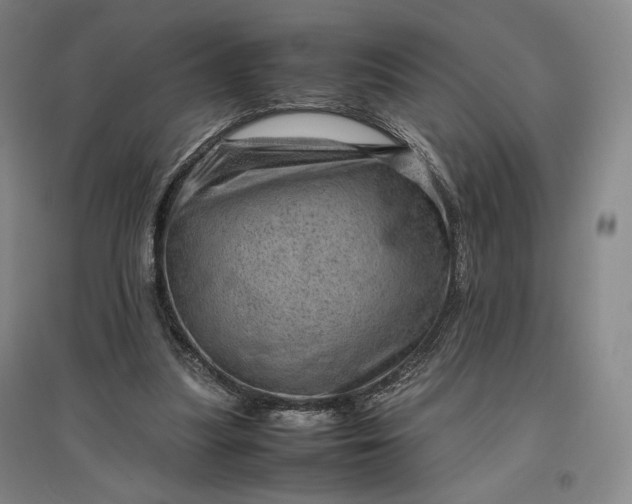 X0000096940251200802221326