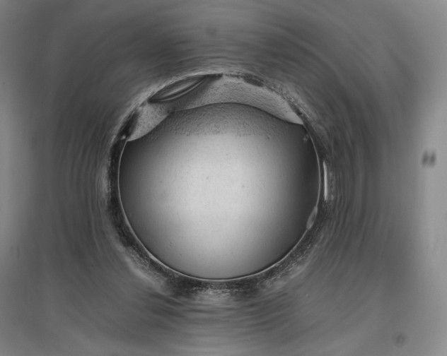 X0000096940252200802221326