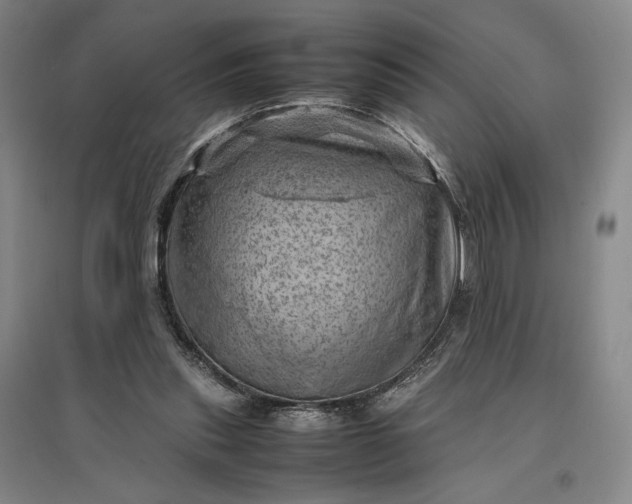 X0000096940253200802221326