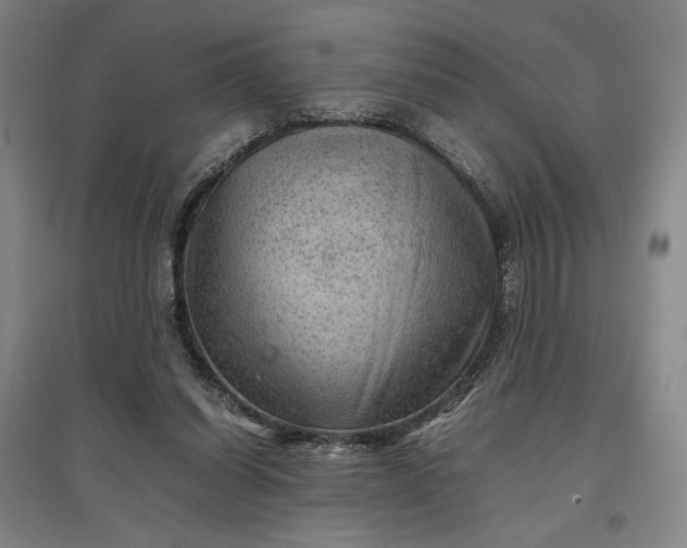 X0000096940254200802221326