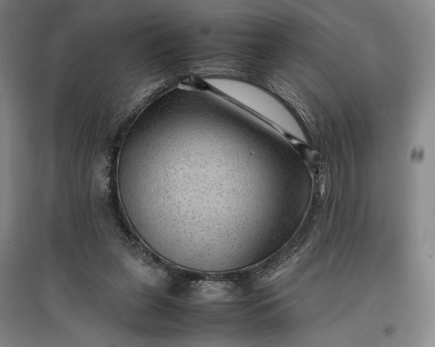 X0000096940255200802221326