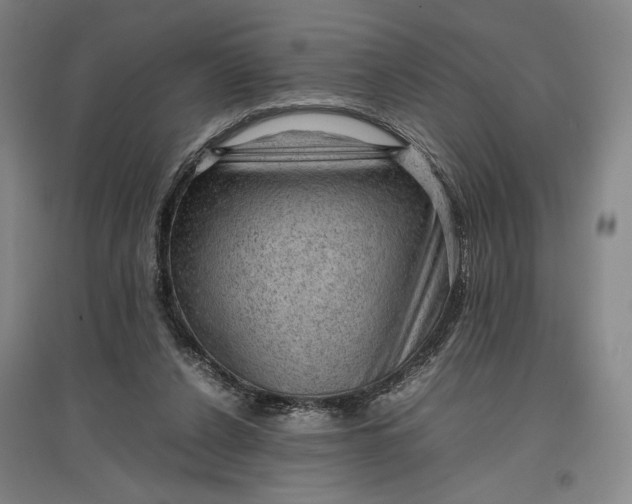 X0000096940256200802221326