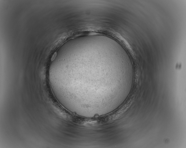 X0000096940257200802221326