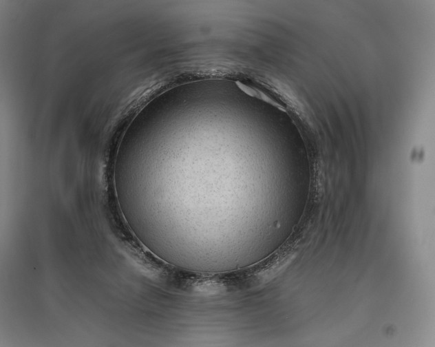 X0000096940258200802221326