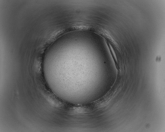 X0000096940259200802221326