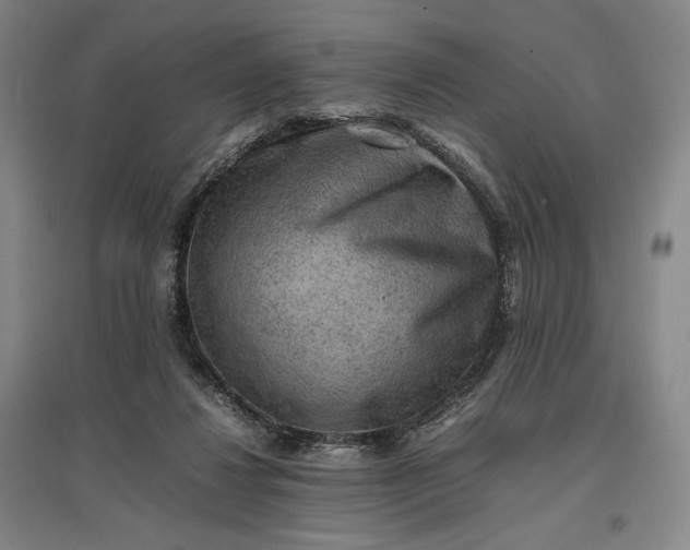 X0000096940260200802221326