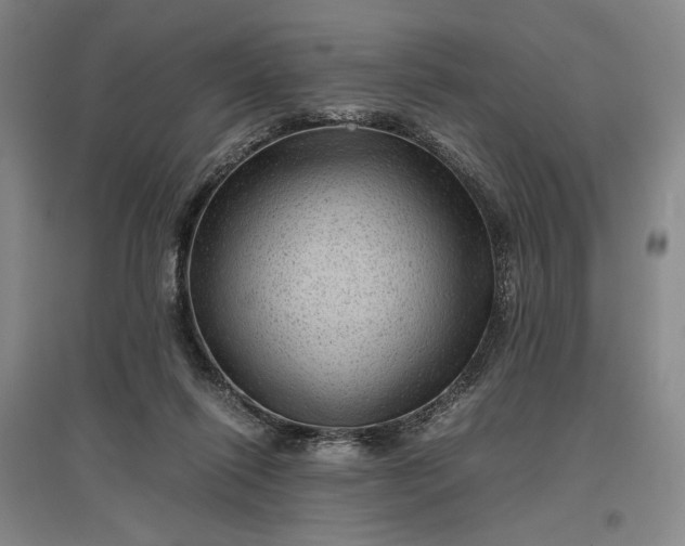 X0000096940262200802221326