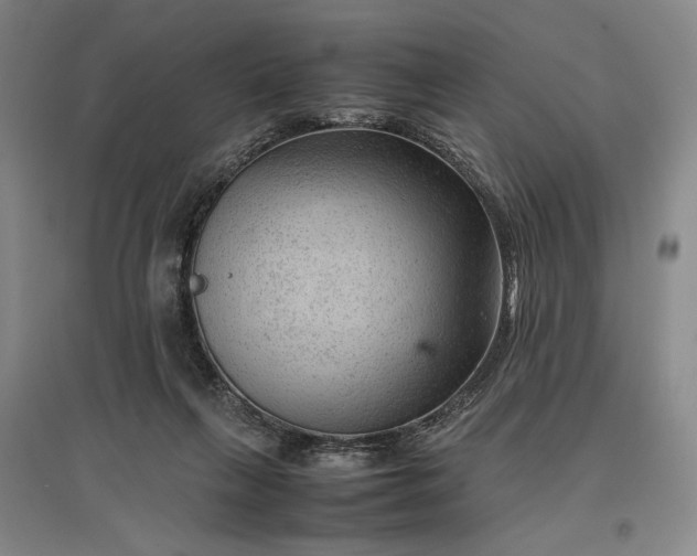 X0000096940263200802221326