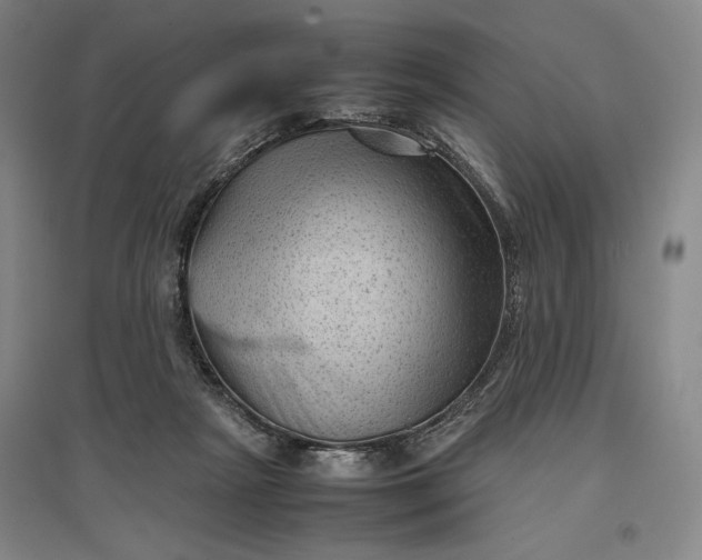 X0000096940265200802221326