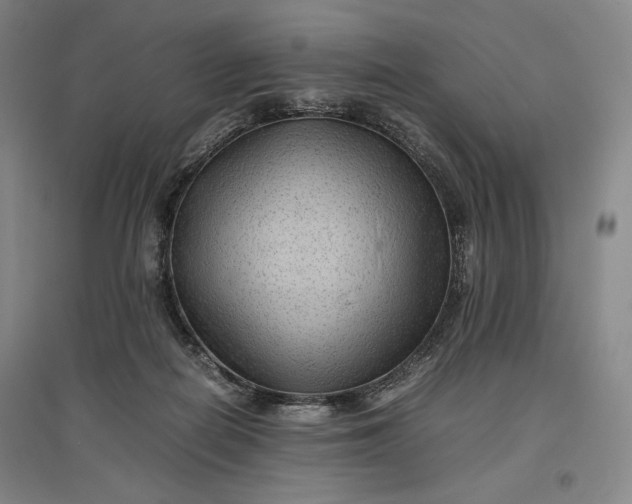 X0000096940266200802221327