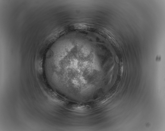 X0000096940267200802221327