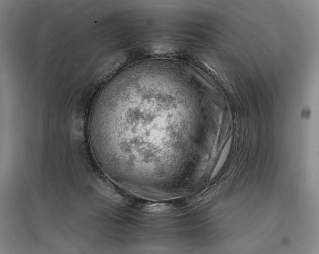 X0000096940269200802221327