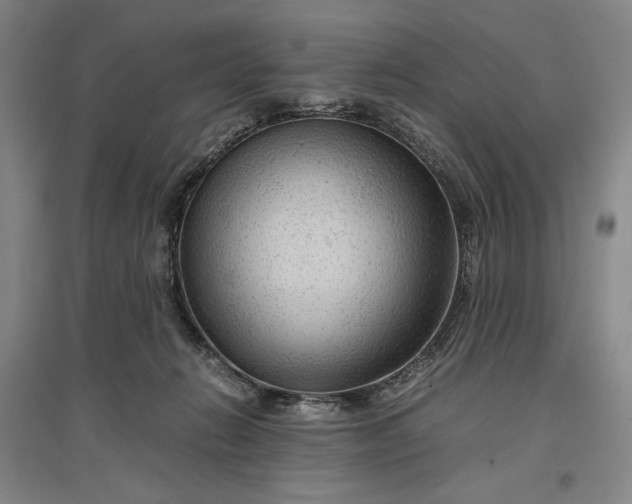 X0000096940270200802221327