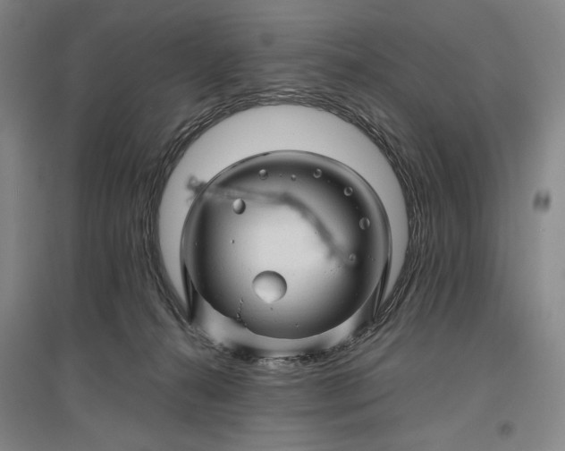 X0000096940272200802221327