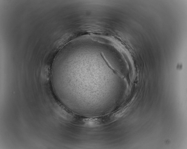 X0000096940273200802221327