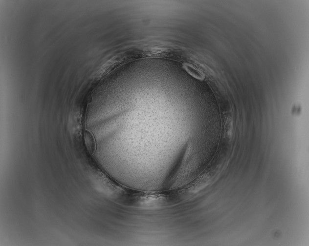 X0000096940274200802221327