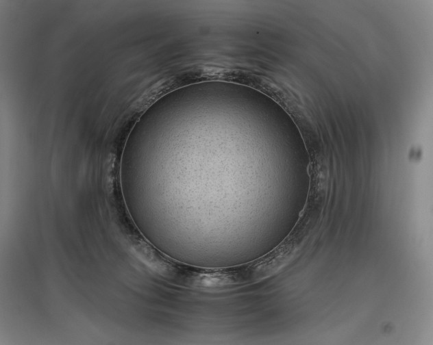 X0000096940275200802221327