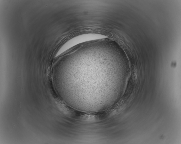 X0000096940276200802221327