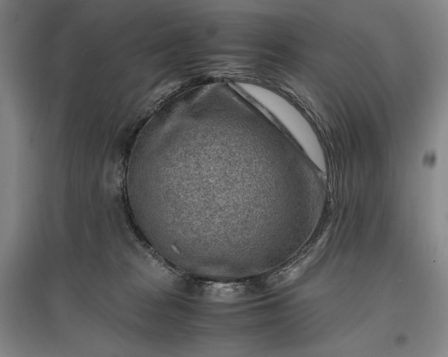 X0000096940277200802221327