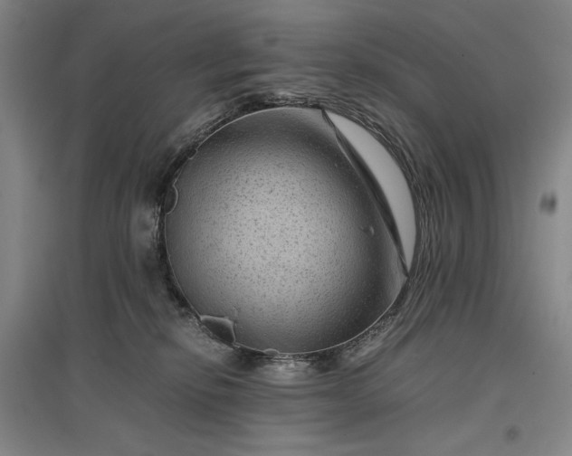 X0000096940278200802221327