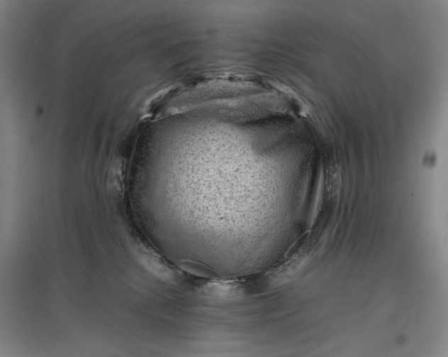 X0000096940280200802221327