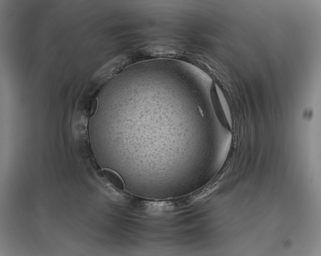 X0000096940281200802221327