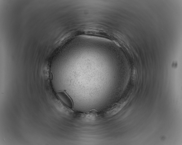 X0000096940282200802221327