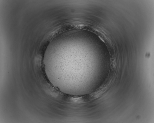 X0000096940283200802221327