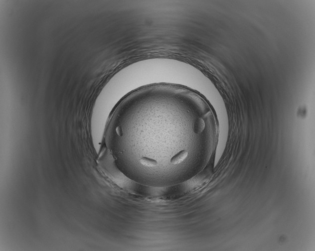 X0000096940284200802221327