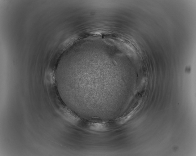 X0000096940285200802221327