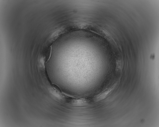 X0000096940286200802221327