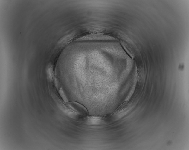 X0000096940287200802221327