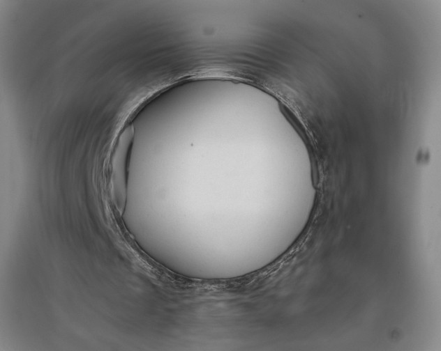 X0000096940289200802221326