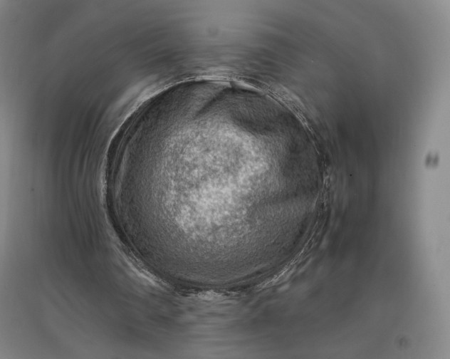 X0000096940290200802221326