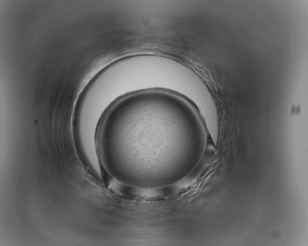 X0000096940292200802221326