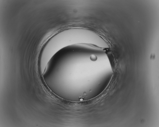 X0000096940293200802221326