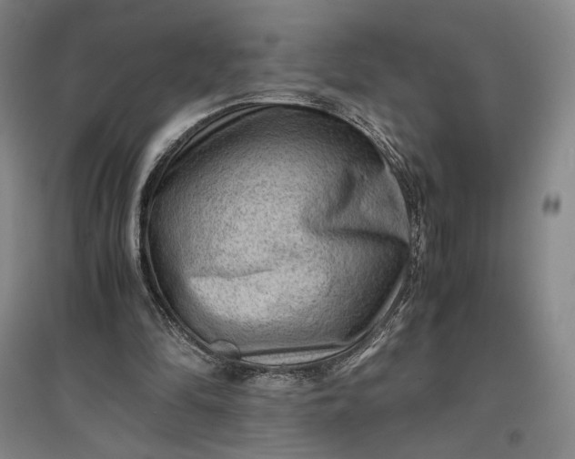 X0000096940294200802221326