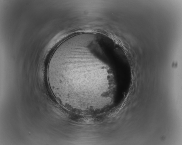 X0000096940295200802221326