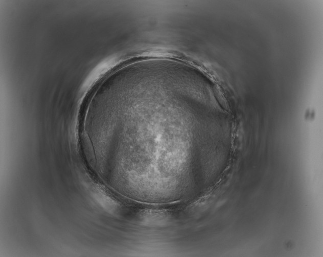 X0000096940296200802221326