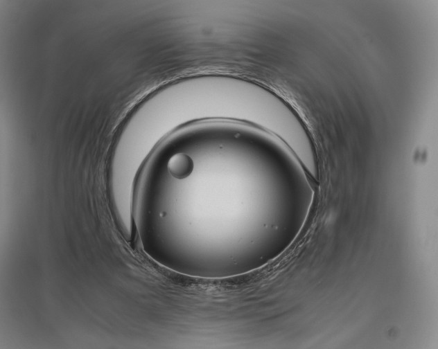 X0000096940297200802221326