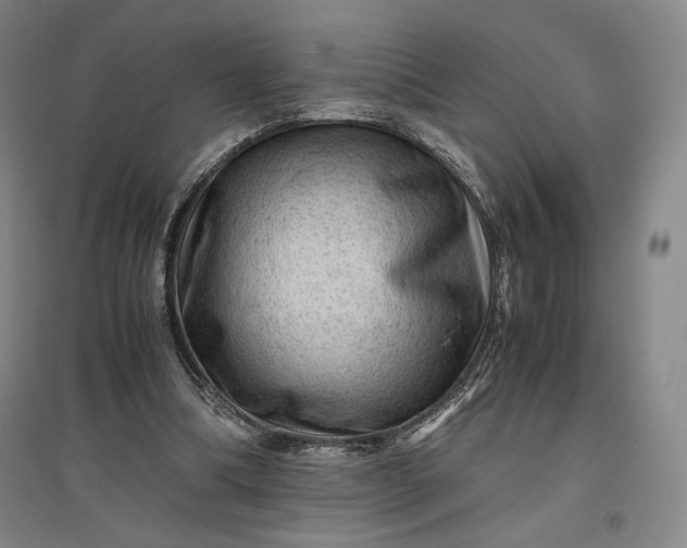 X0000096940298200802221326