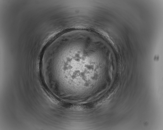 X0000096940299200802221326