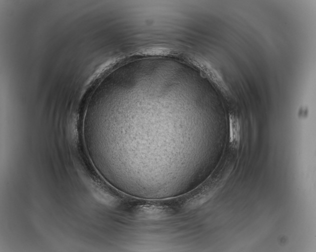 X0000096940300200802221326